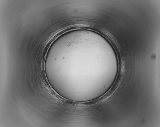 X0000114990829200911091333