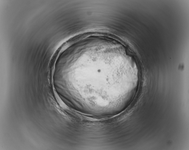 X0000114990830200911091333