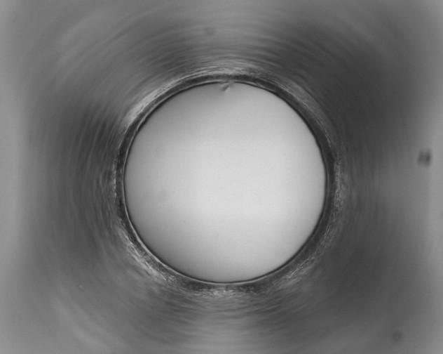 X0000114990834200911091333