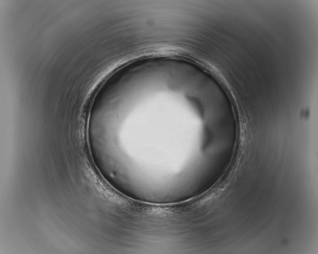 X0000114990835200911091333