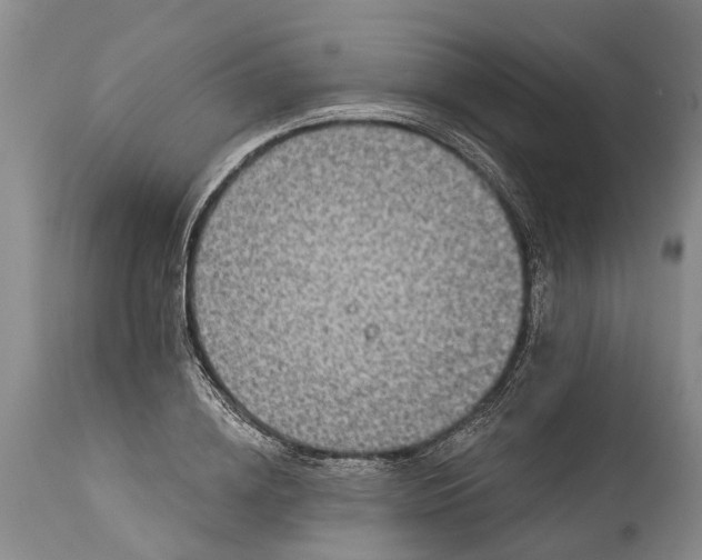 X0000114990836200911091333