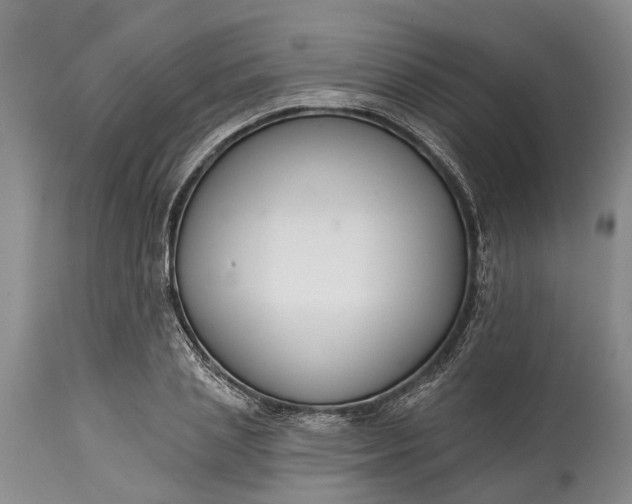 X0000114990837200911091333