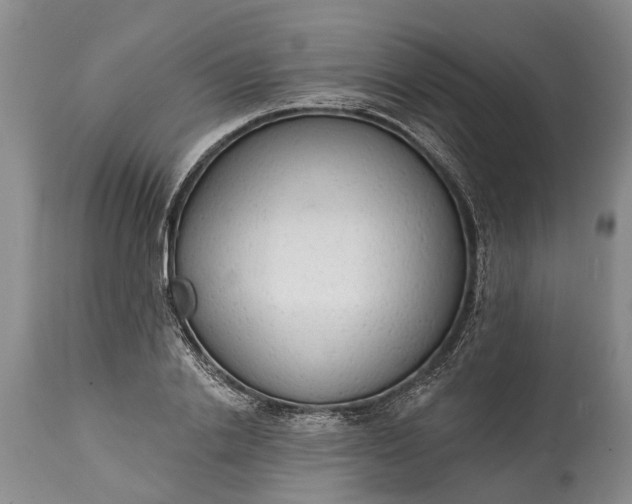 X0000114990838200911091333
