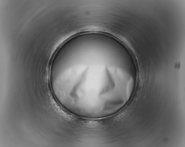 X0000114990839200911091333