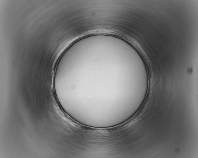 X0000114990844200911091333