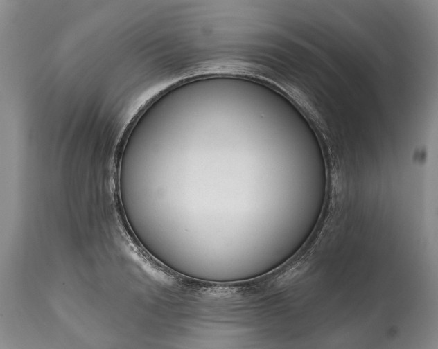X0000114990846200911091333
