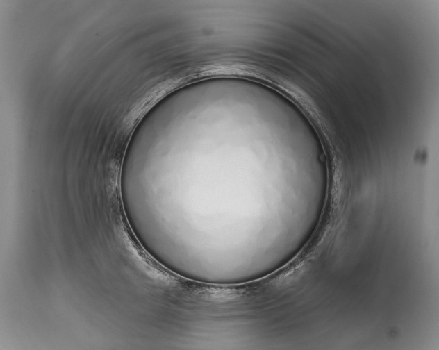 X0000114990849200911091333