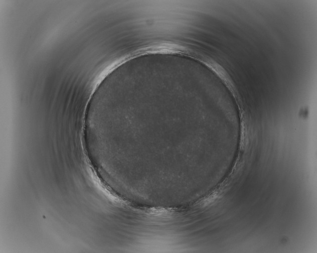 X0000114990850200911091333