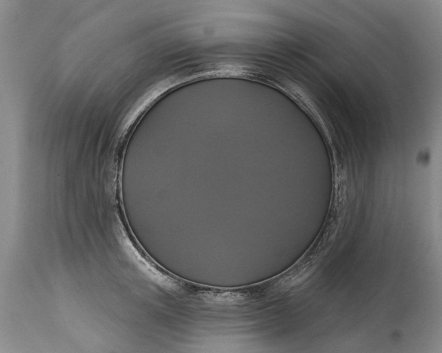 X0000114990851200911091333