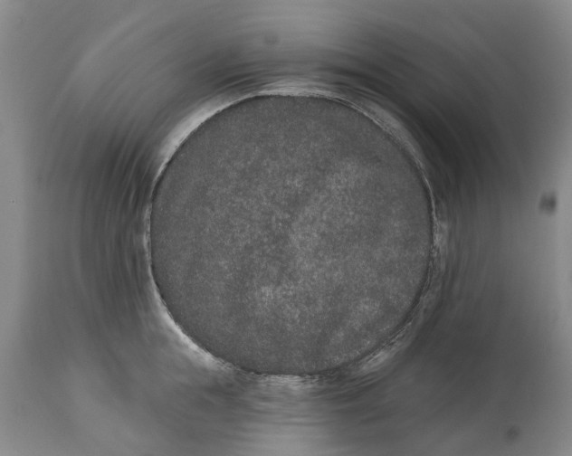 X0000114990855200911091333