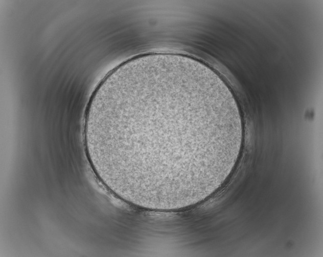 X0000114990856200911091333