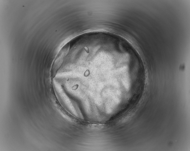 X0000114990858200911091333