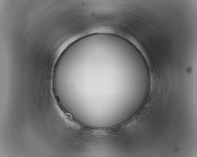 X0000114990861200911091333