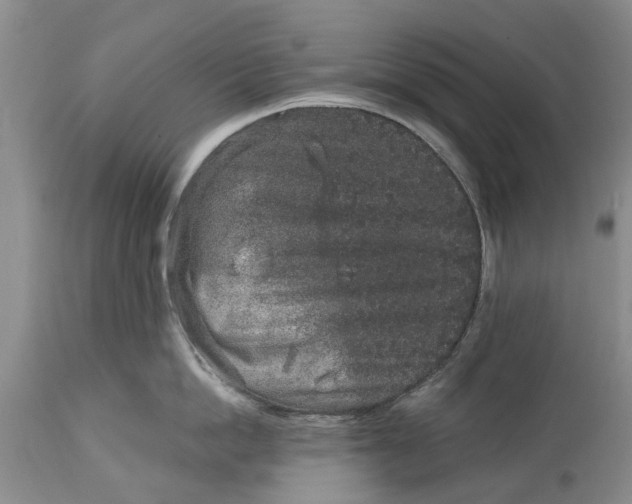 X0000114990862200911091333