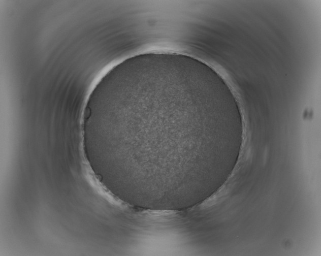 X0000114990864200911091333