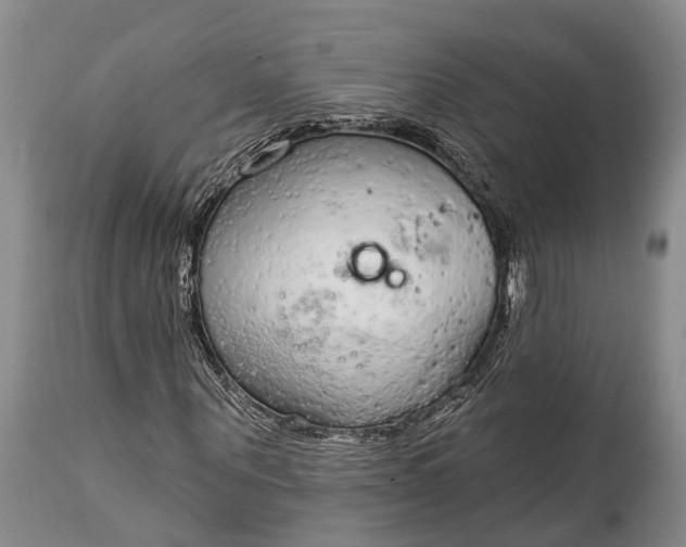 X0000114990867200911091332