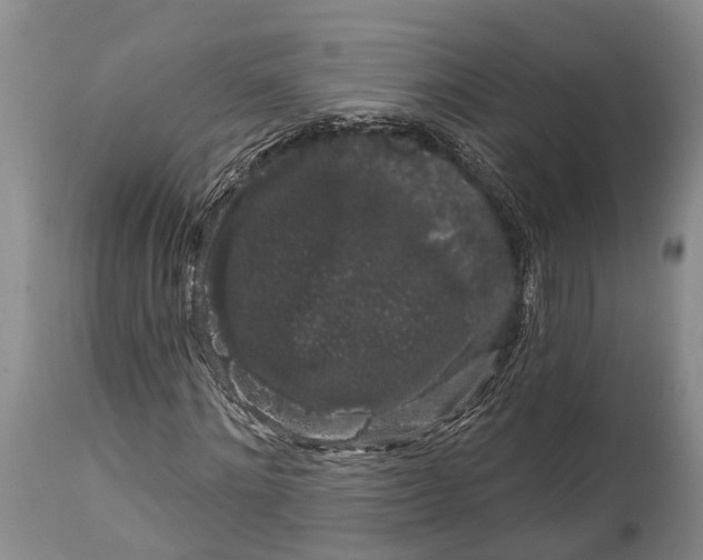 X0000114990868200911091332