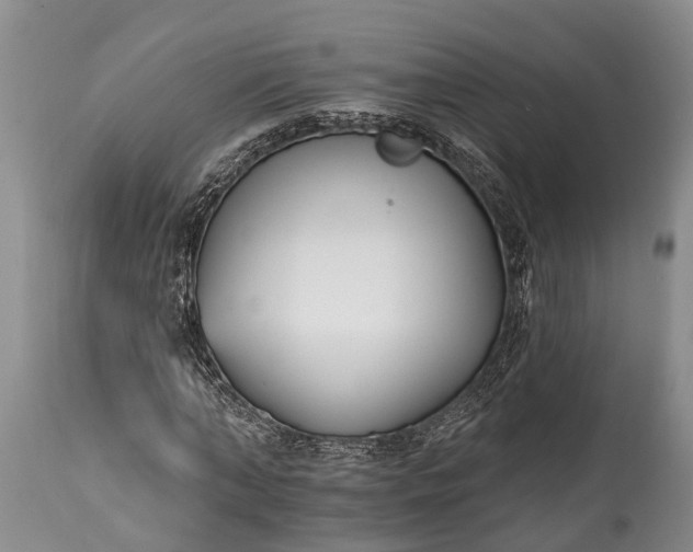 X0000114990870200911091332