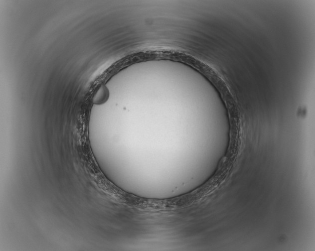 X0000114990871200911091332