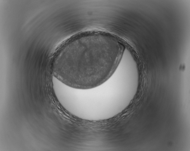 X0000114990872200911091332