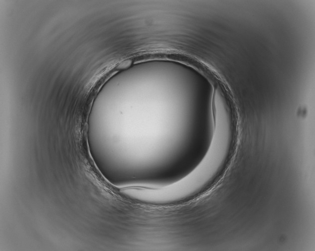 X0000114990873200911091332