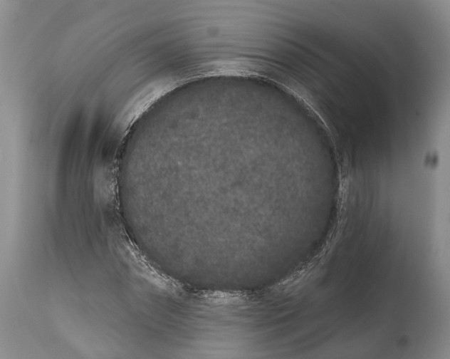 X0000114990874200911091332