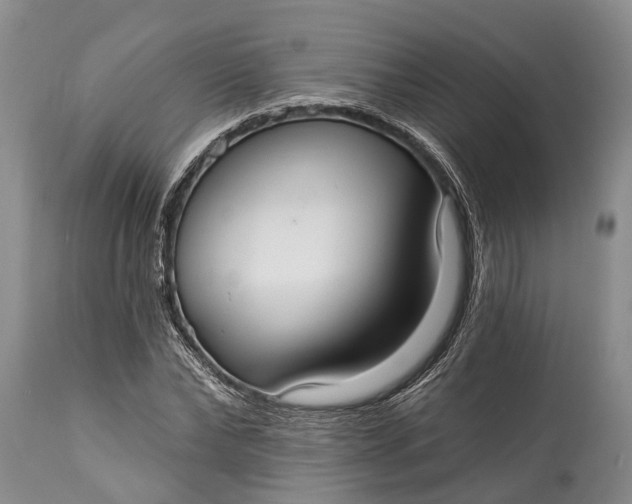 X0000114990878200911091332