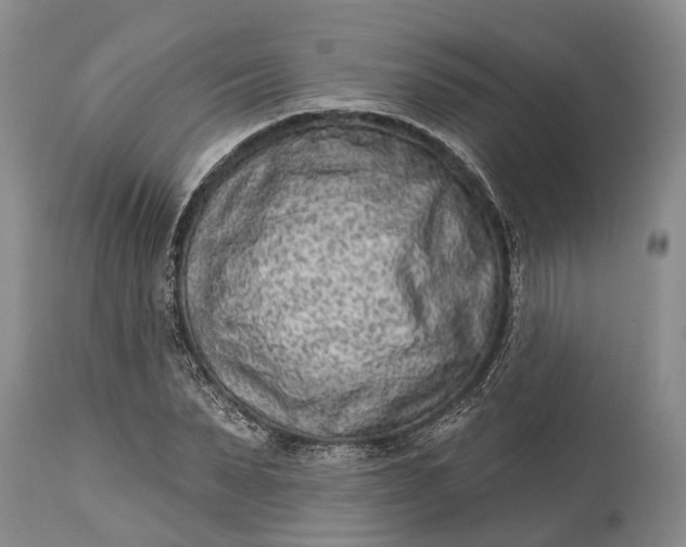 X0000114990879200911091332