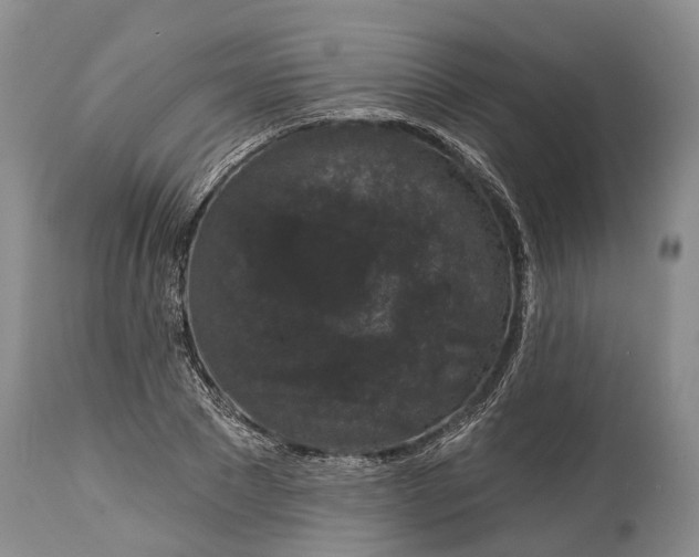 X0000114990881200911091332