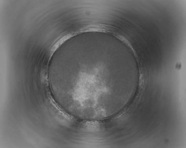 X0000114990882200911091332