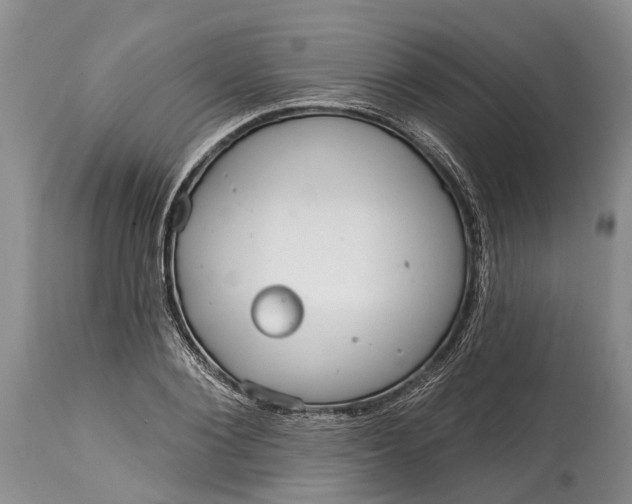 X0000114990884200911091332
