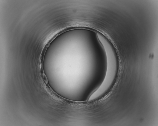 X0000114990885200911091332