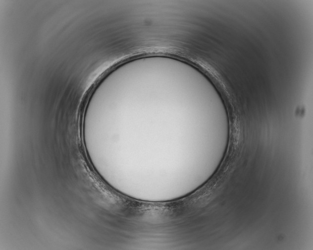X0000114990886200911091332