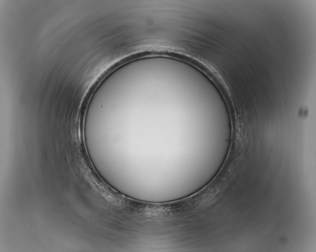 X0000114990887200911091332