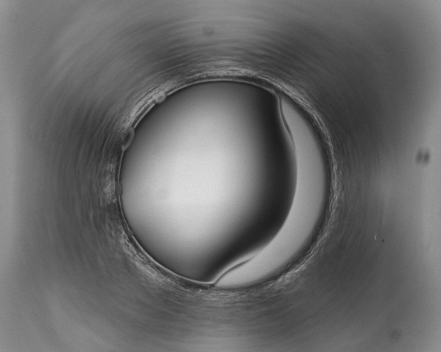 X0000114990889200911091332