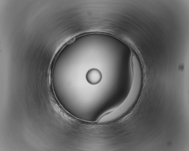 X0000114990892200911091332