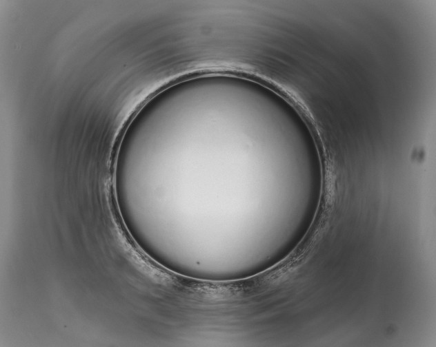 X0000114990895200911091332