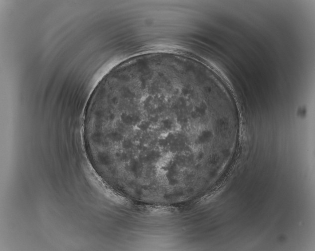 X0000114990899200911091332