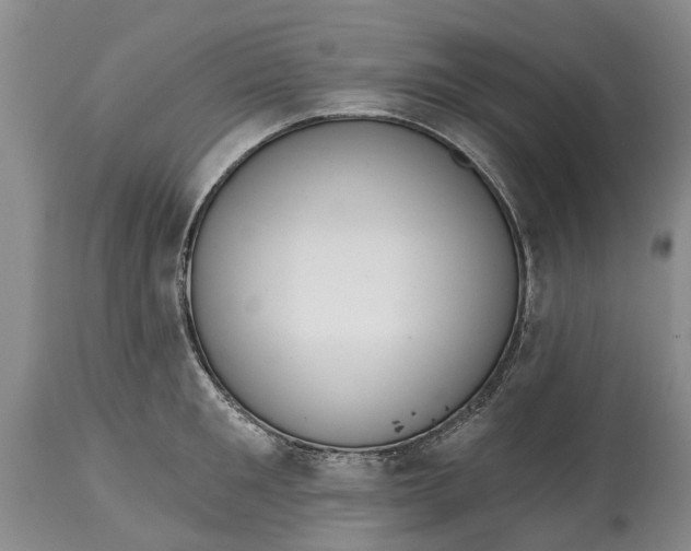X0000114990901200911091332
