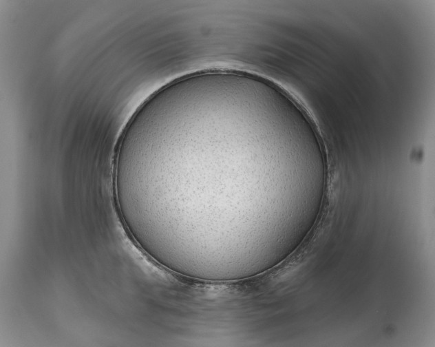 X0000114990903200911091332