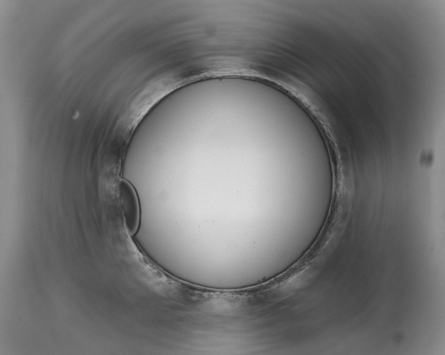 X0000114990905200911091332