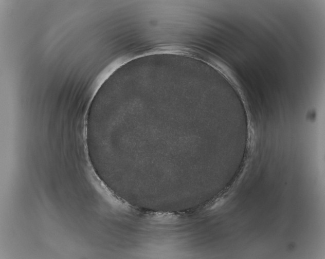 X0000114990907200911091332