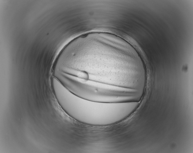 X0000114990908200911091332