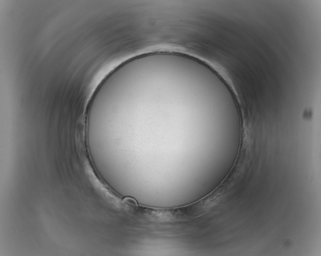 X0000114990911200911091332