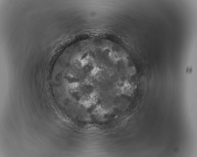 X0000114990913200911091331