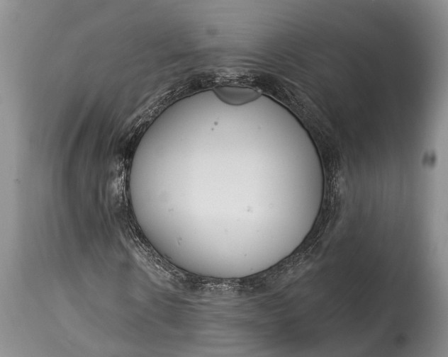 X0000114990914200911091331