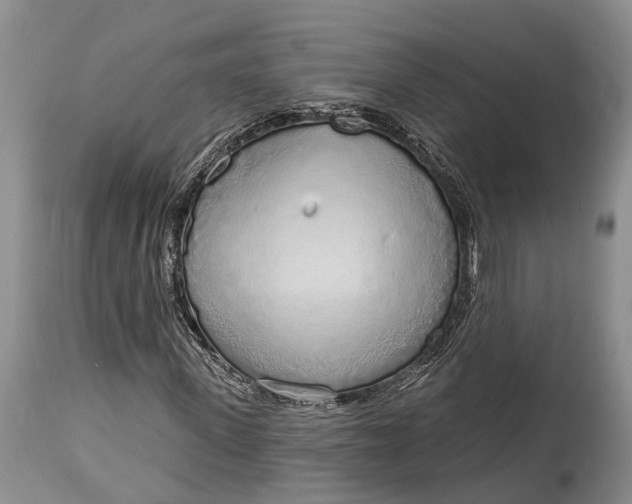 X0000114990915200911091331