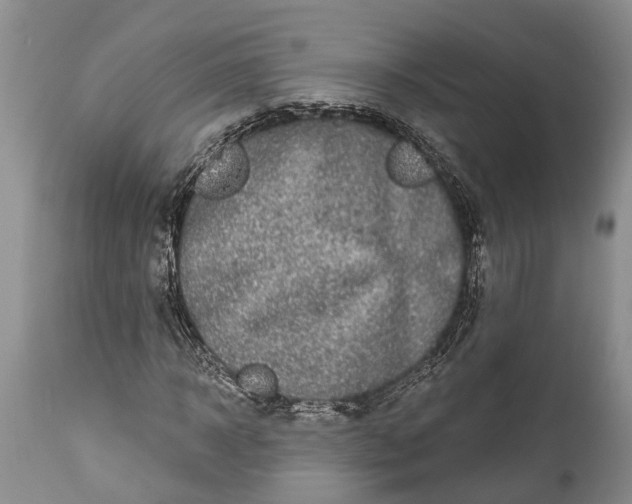 X0000114990918200911091331