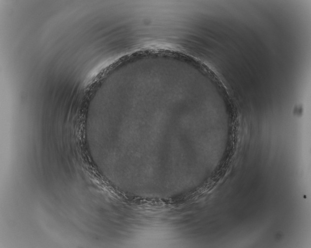 X0000114990919200911091331