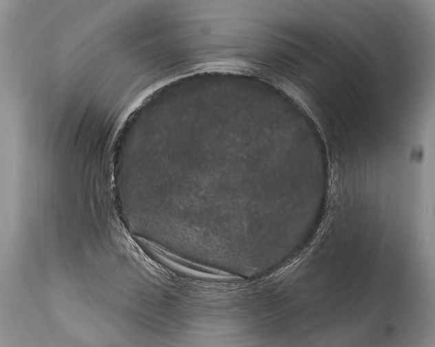 X0000114990923200911091331